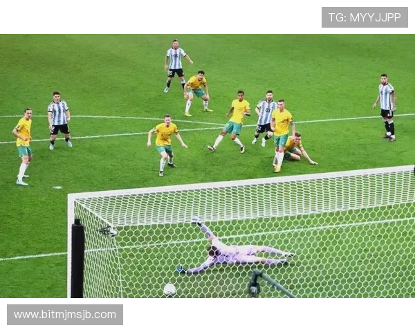 卡塔尔世界杯新闻报道：专家点评比赛战术与球队表现的亮点与不足